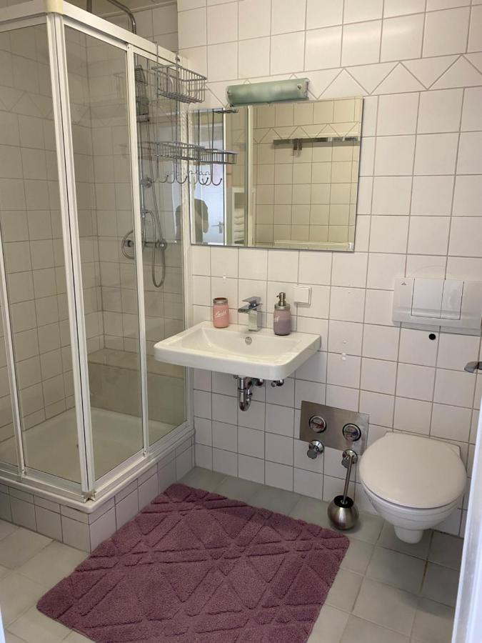 Moderne Ferien-Dachwohnung In Idyllischer Lage Neuweiler  Экстерьер фото